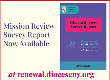 mission review report